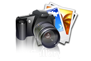 Gallery_icon